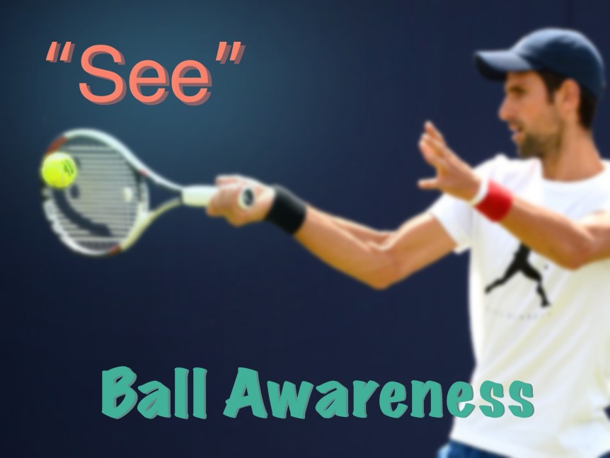 Figure from Ball Awareness