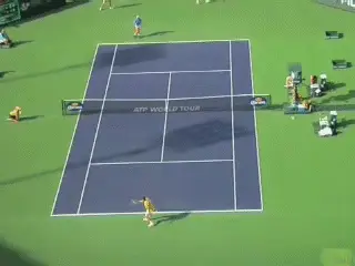 Figure from Ball Watching - Part 1
