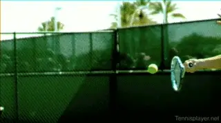 A picture containing sky, green, tennis Description automatically generated