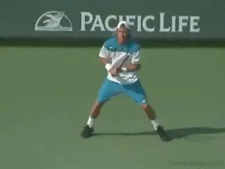 Figure from Contact Moves: The Mogul Move