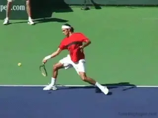 Figure from Contact Moves: The Mogul Move