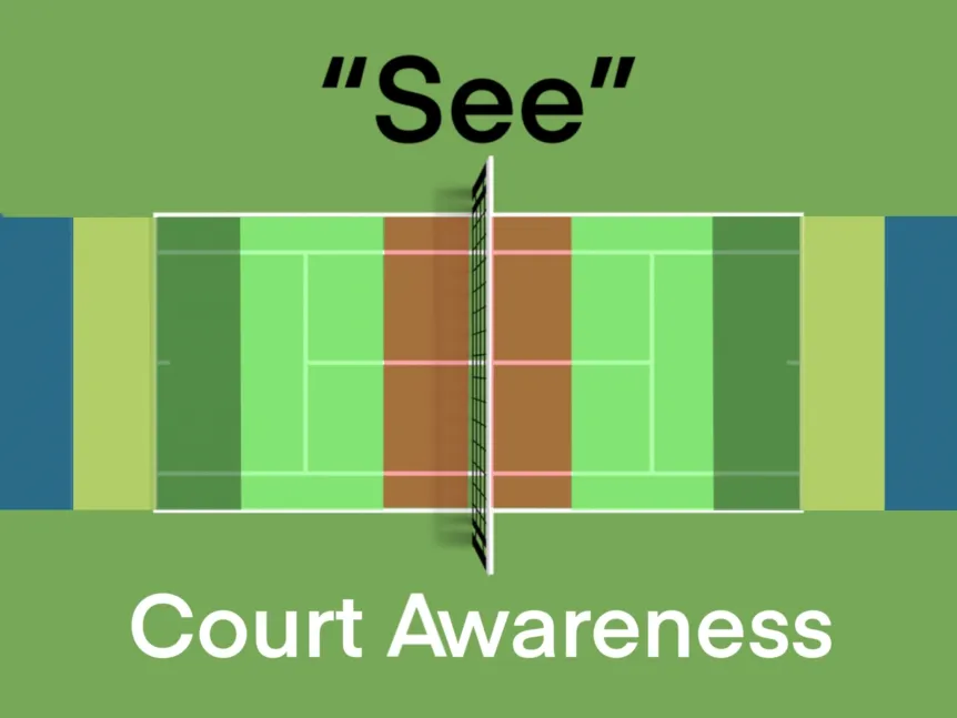 Figure from Court Awareness