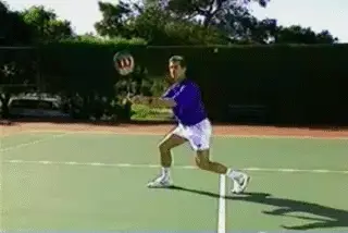 Figure from Court Movement: The Volley
