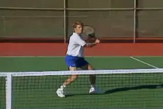 Figure from Court Movement: The Volley