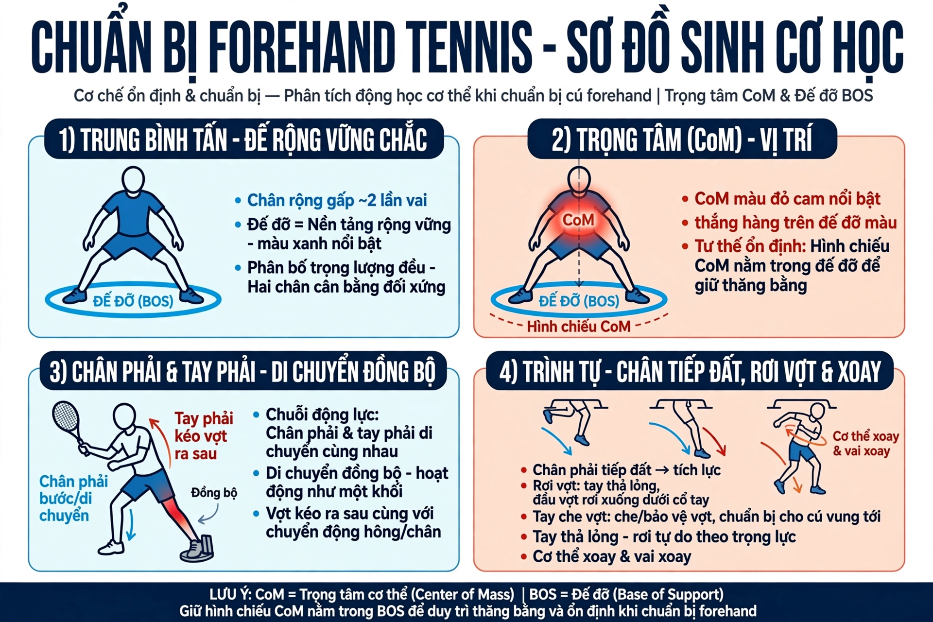 Sơ Đồ Sinh Cơ Học Chuẩn Bị Forehand Tennis