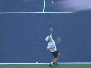Figure from Internal Shoulder Rotation