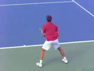 Figure from Building A World Class One Hander: Preparation
