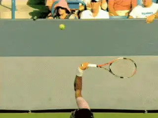 Figure from Roger Federer: The Upward Swing