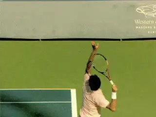 Figure from Roger Federer: The Upward Swing