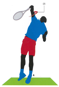 Video demonstration