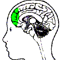 Figure from Mindfulness: Can You Actually Change Your Brain?