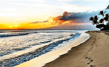 A picture containing water, beach, sky, outdoor Description automatically generated