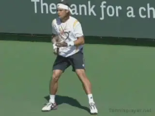 Figure from Secrets of spanish tennis paradigms and superstructure