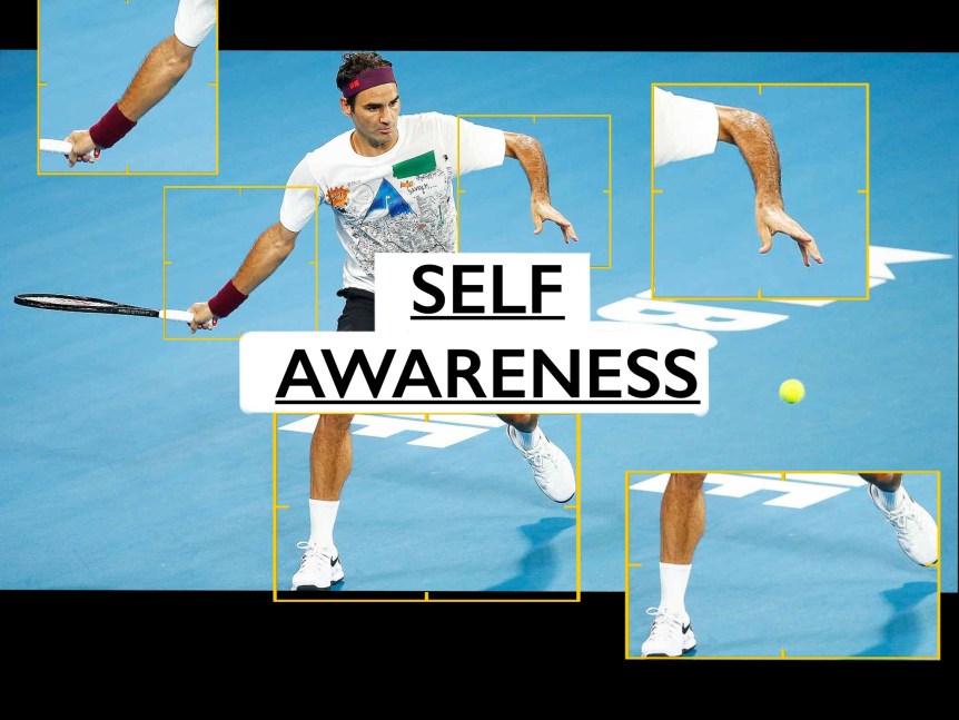 Figure from Self Awareness