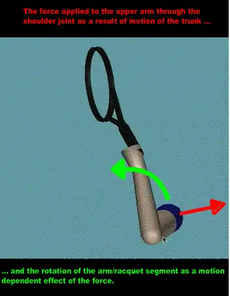 Figure from The Backswing: The Upper Body