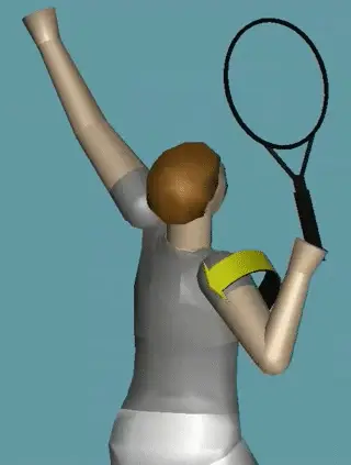Figure from The Backswing: The Upper Body