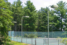 Figure from The Inspiration to Serve and Volley