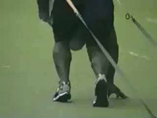 Figure from The Killer Forehand: Part 1