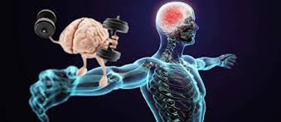 Figure from Understanding Muscle Memory — Part 1
