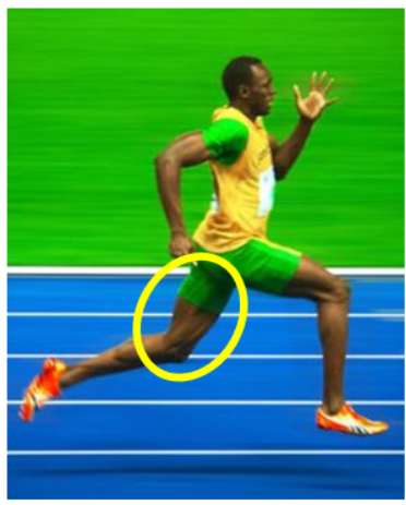 Figure 1 - Engage the Posterior Chain