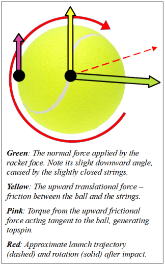 Figure 17 - Engage the Posterior Chain
