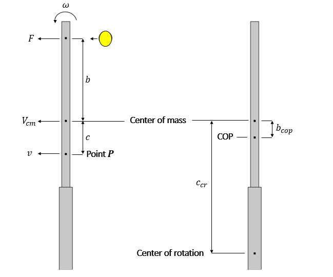 Figure from The Physics of Tennis Racket Sweet Spots