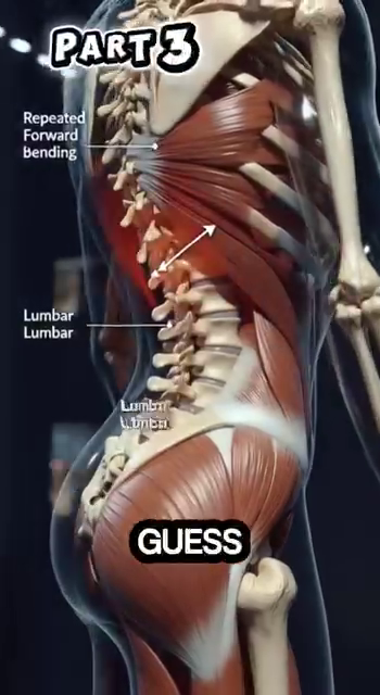 The 6 joint angles at forehand contact