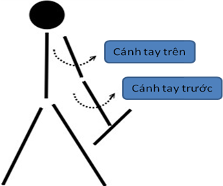 image41 png