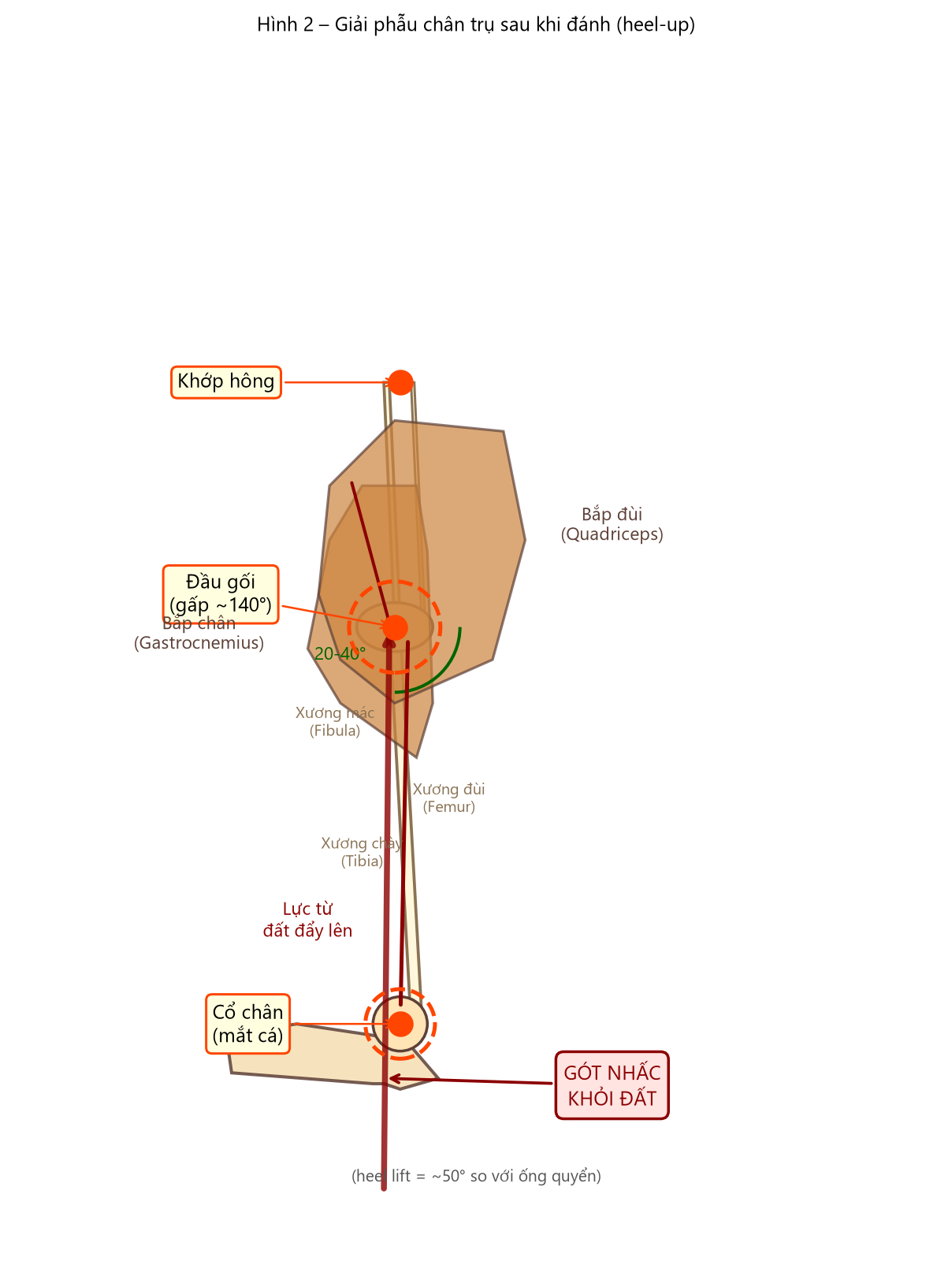 image70 png