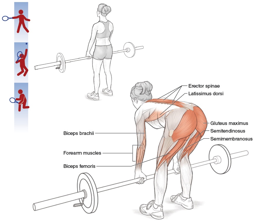 Tư thế squat ly tâm