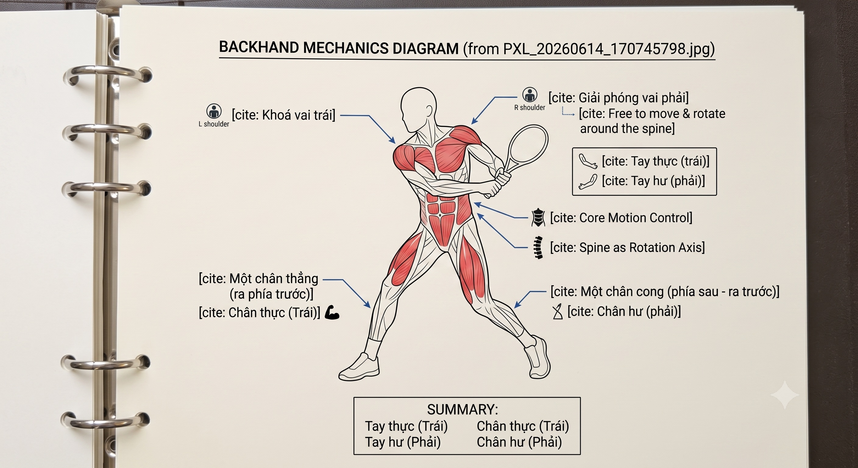 Sơ đồ cơ học toàn diện của cú Backhand