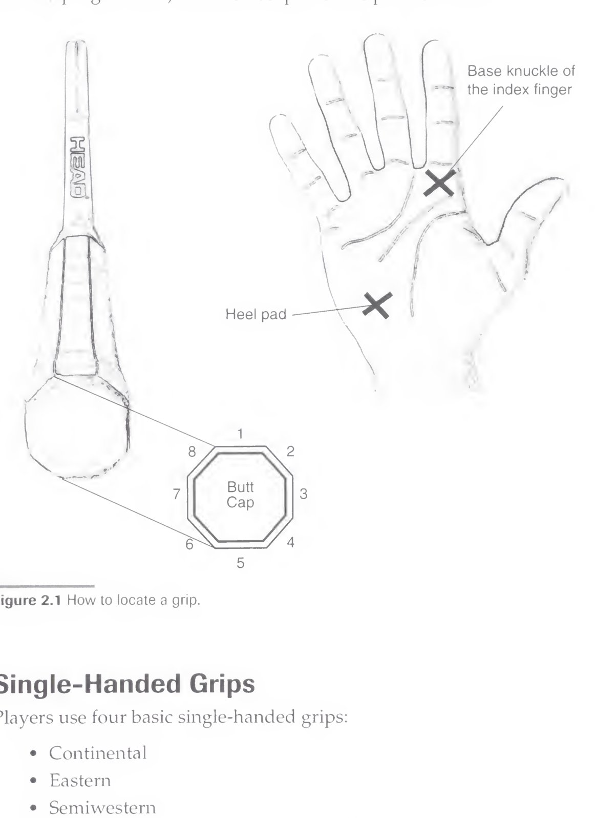 Hình 2.1: Giải phẫu các cạnh vát (bevels 1-8) của cán vợt bát giác tiêu chuẩn.