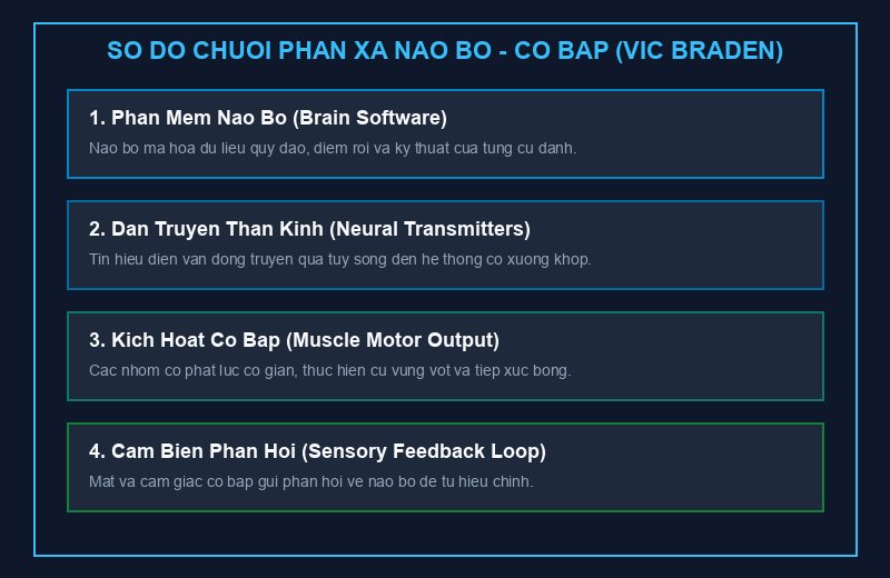 Sơ đồ chuỗi phản xạ kết nối não bộ và cơ bắp của Vic Braden