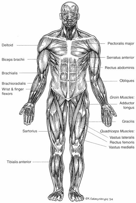 Minh họa bài tập trong sách Complete Conditioning for Tennis