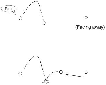 Minh họa bài tập trong sách Complete Conditioning for Tennis