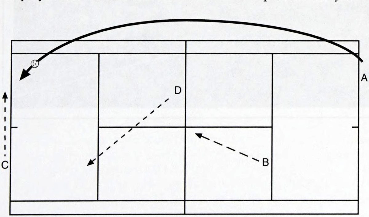 Chương 1: Trình độ 2.5 - hình minh họa