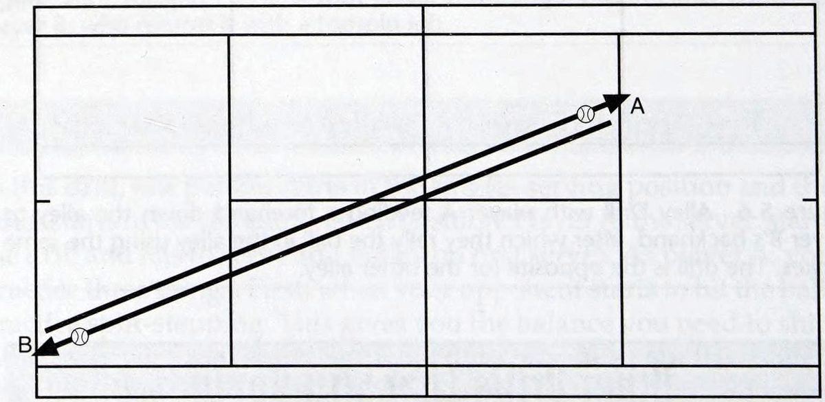 Chương 5: Trình độ 4.5 - hình minh họa
