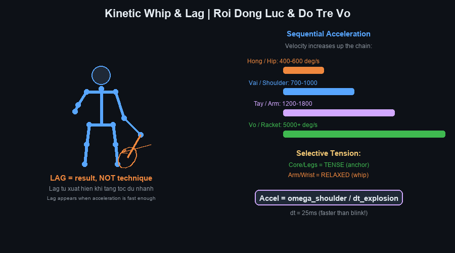 Roi động lực và hiện tượng độ trễ đầu vợt (Kinetic Whip & Lag)