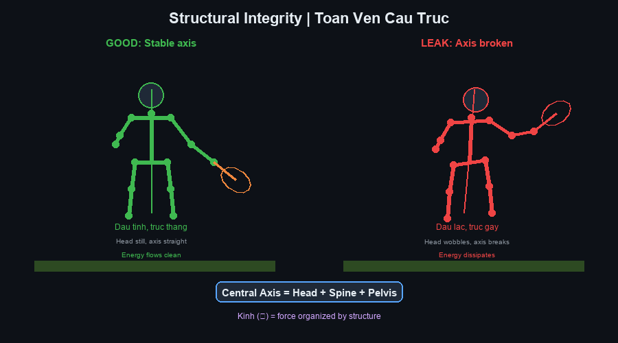 Toàn vẹn cấu trúc và trục xoay trung tâm
