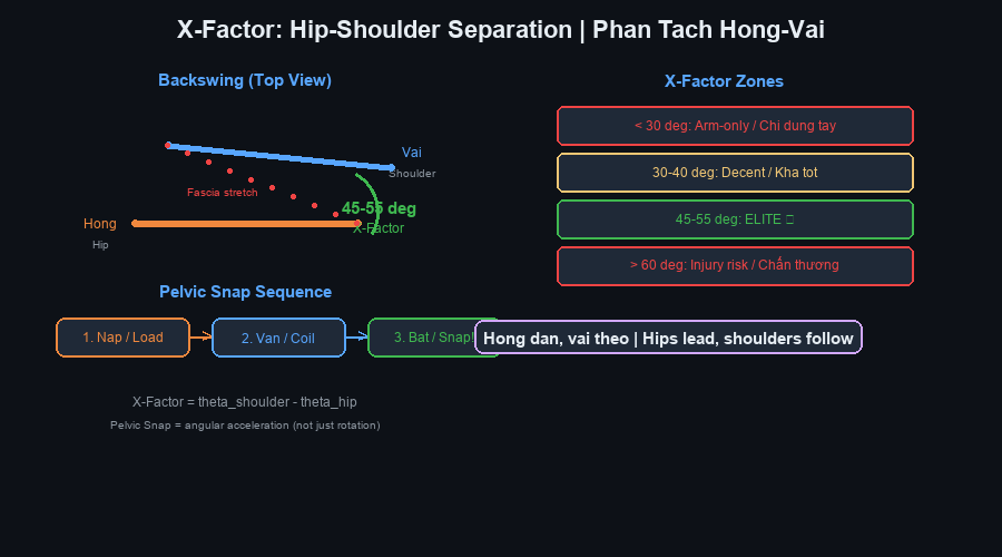 Phân tách hông vai X-Factor và chuỗi giật chậu Pelvic Snap