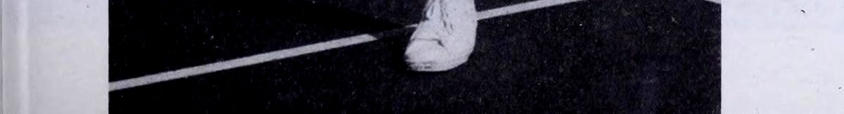 Chương 8: Cú Bỏ Nhỏ - hình minh họa