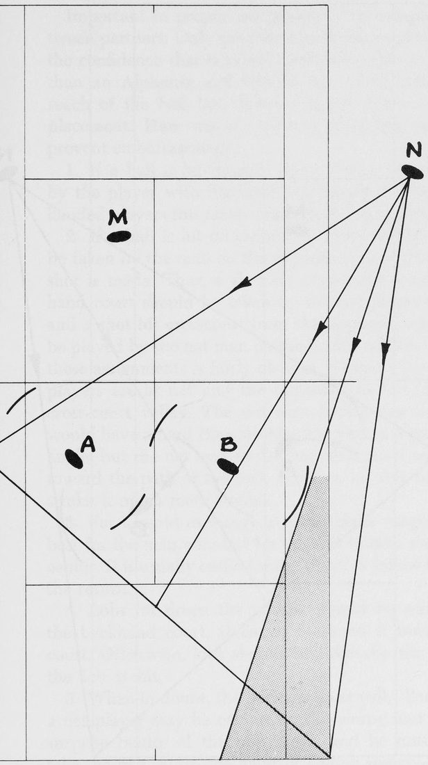 Hình 28