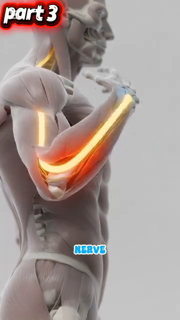 Bàn tay 27 xương — nền tảng cảm biến